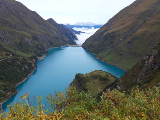 Nationalpark Hohe Tauern 2019/20